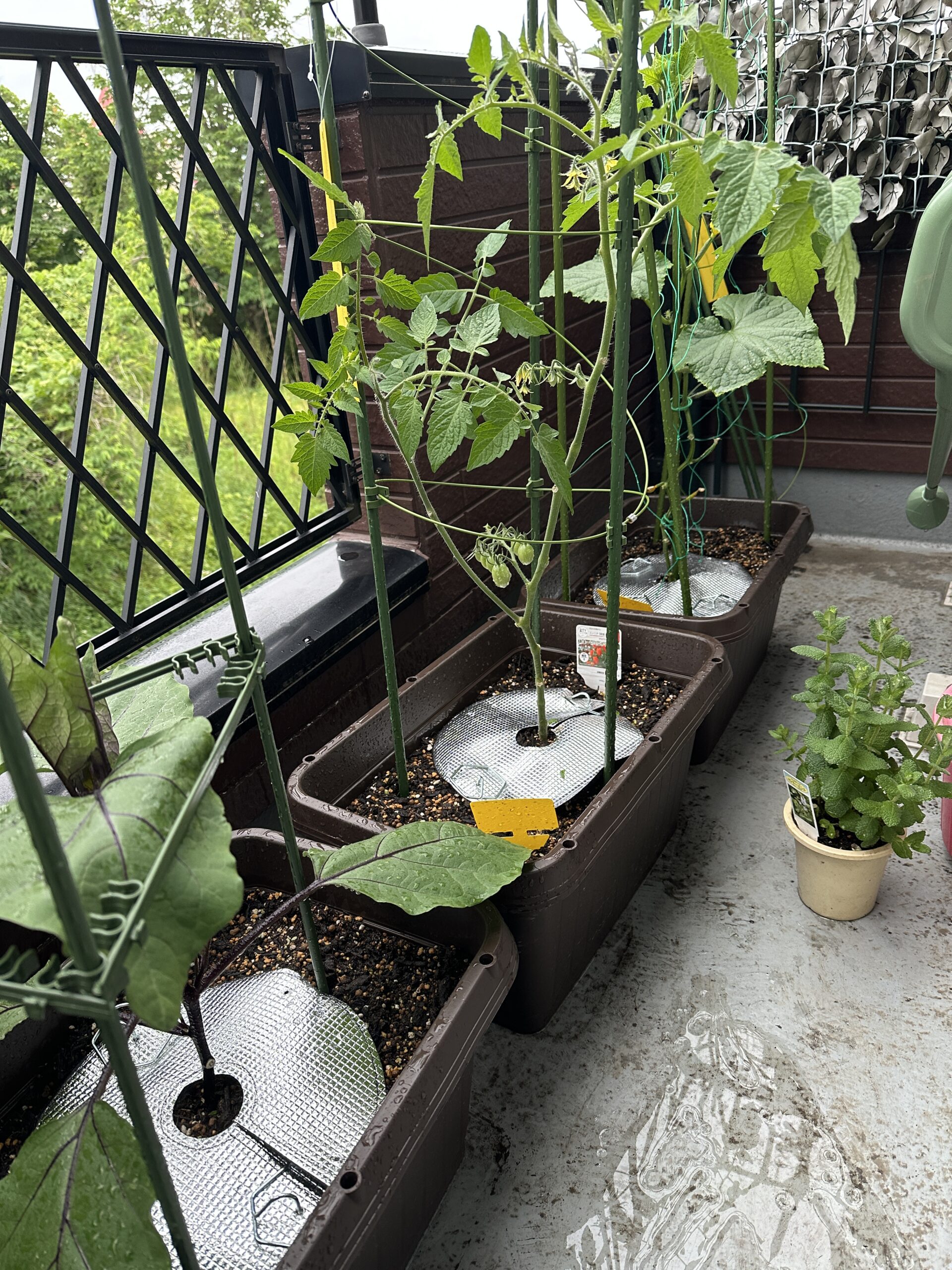 雨上がりのベランダ全景